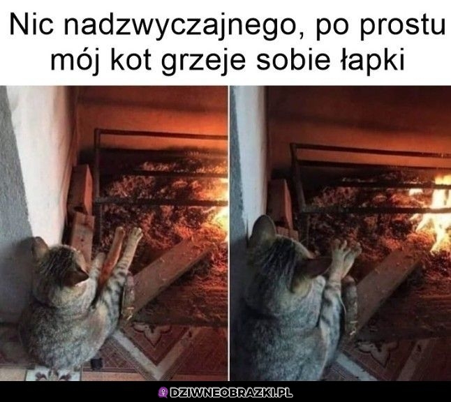 Chłodek przyszedł