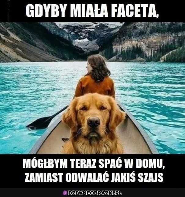 Bez kitu