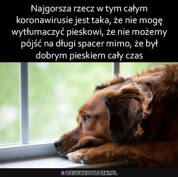 Najgorsze