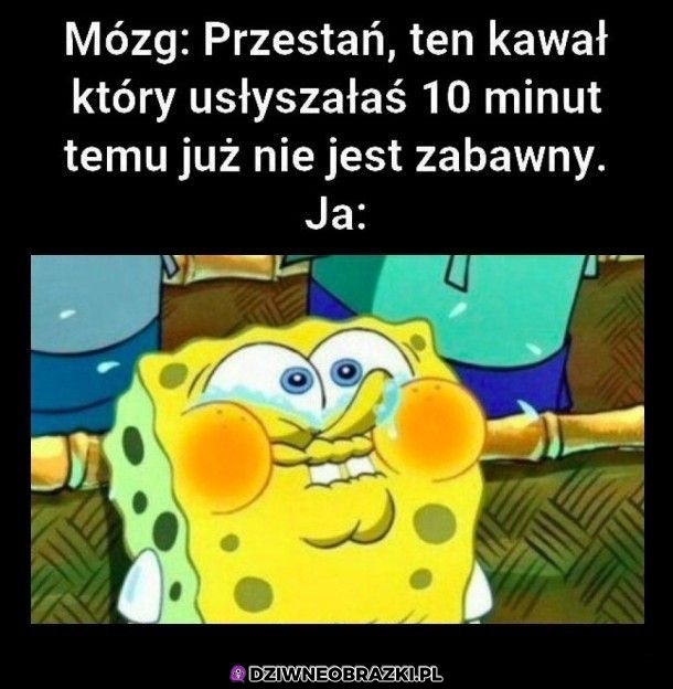 Mój mózg