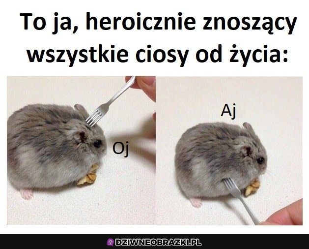 To ja