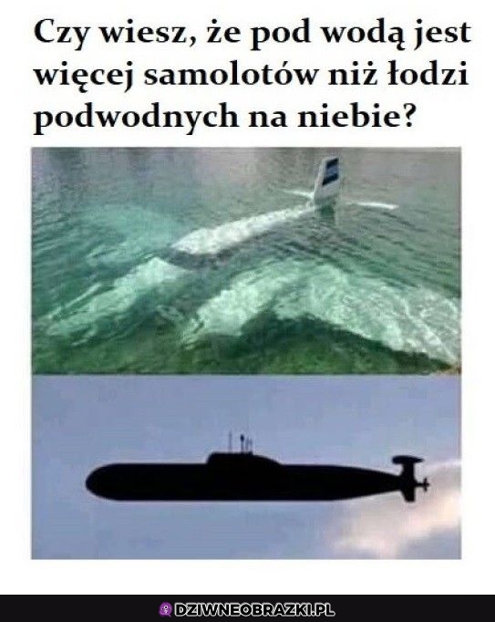 Ciekawostka