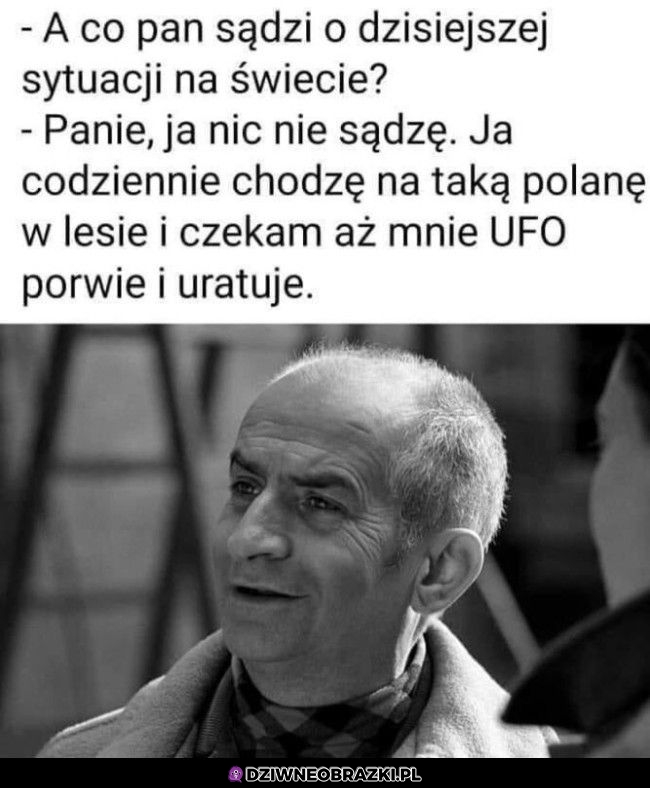 Też chcę taką polanę