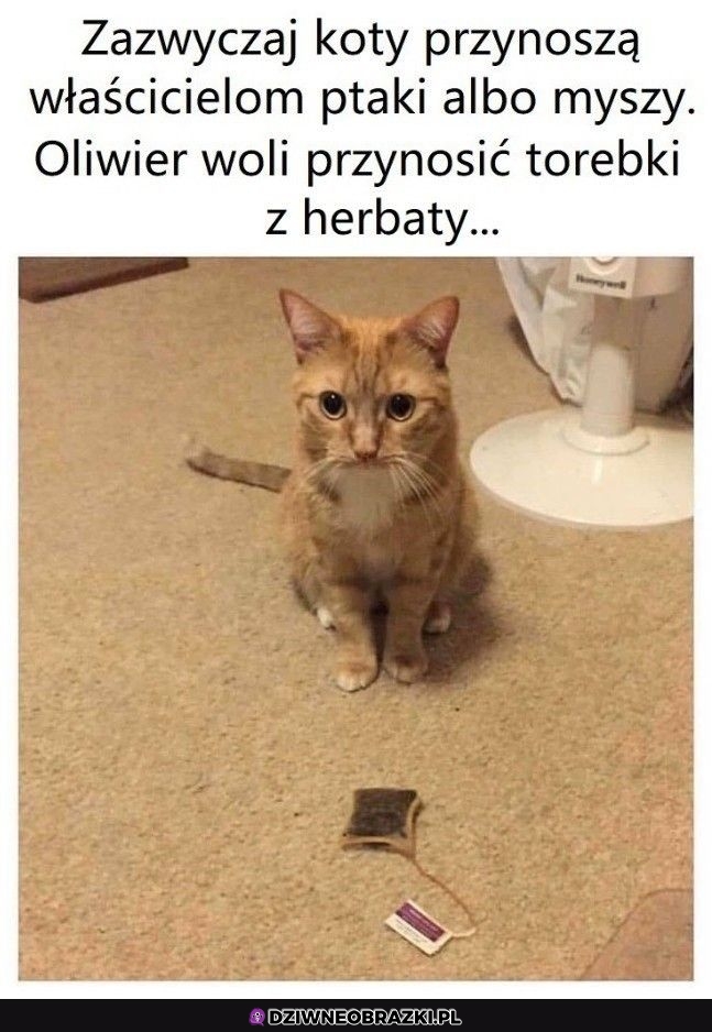 Łowca