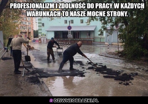 Pełna profeska