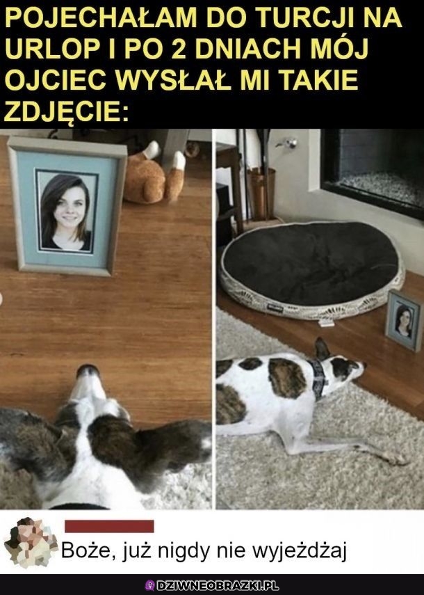 Tęskni