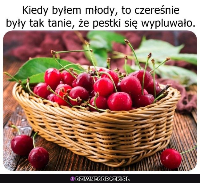 teraz je zjadam