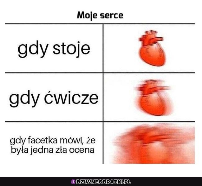 Chyba serce każdego w tej chwili