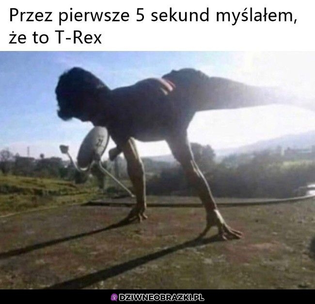 Dalej tak myślę