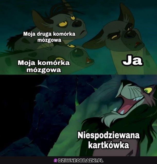 Zaskoczone komórki mózgowe