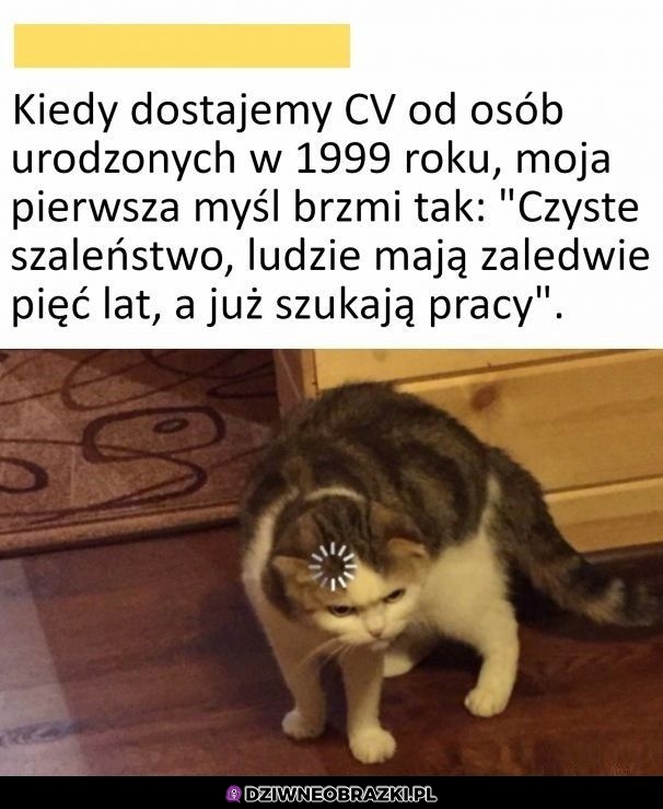 Tak ich widzę