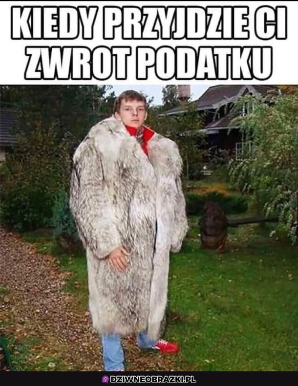 Bogactwo