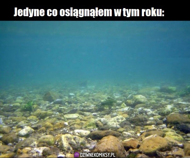 Moje osiągnięcie