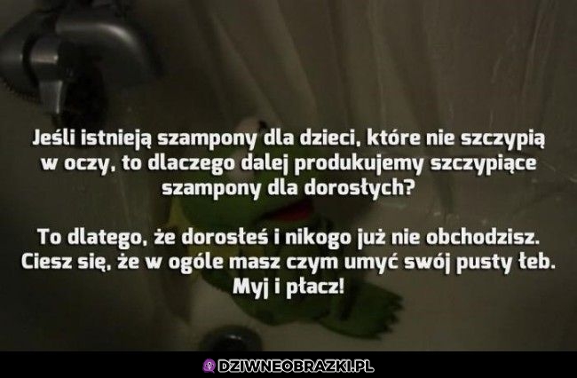 Szampony