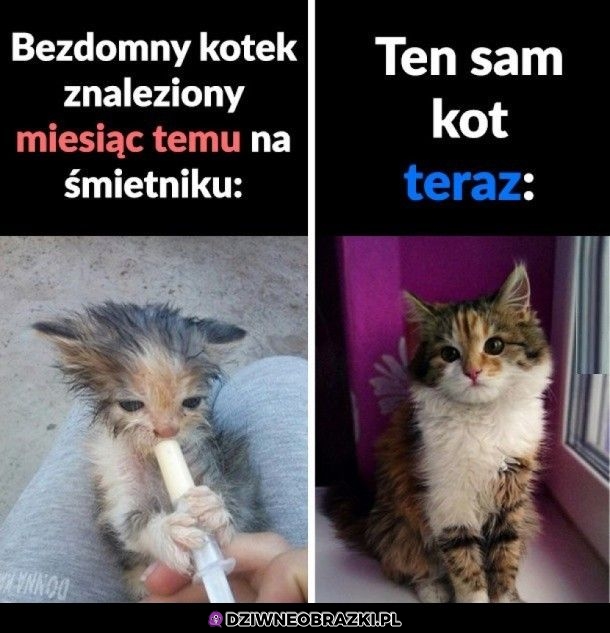 Ładnie!