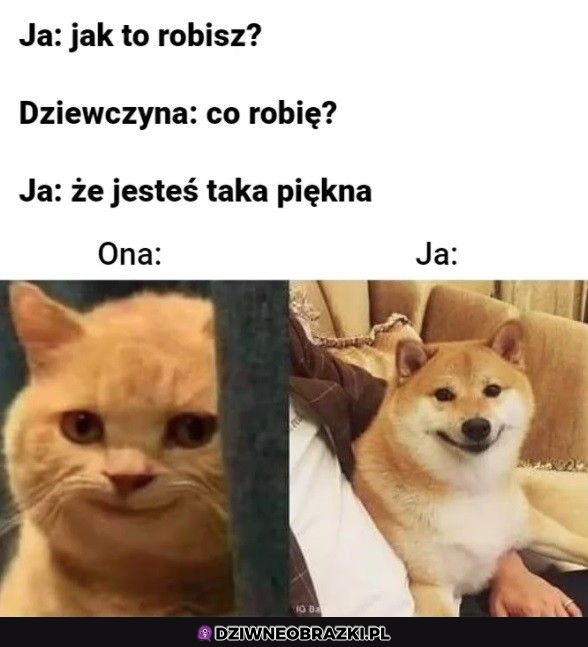 Jak to robisz?
