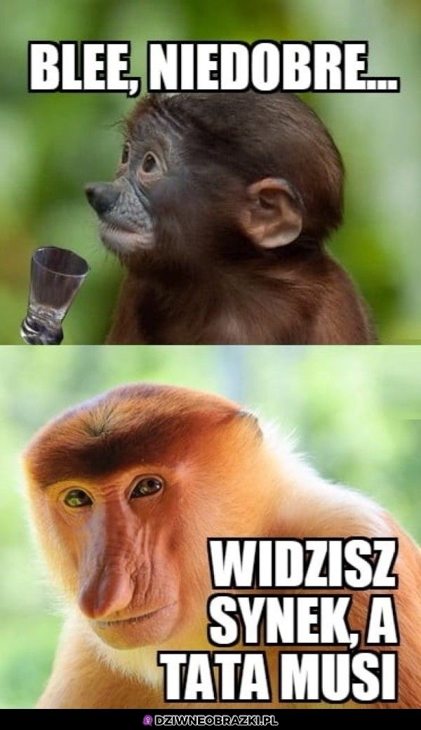Wódeczka