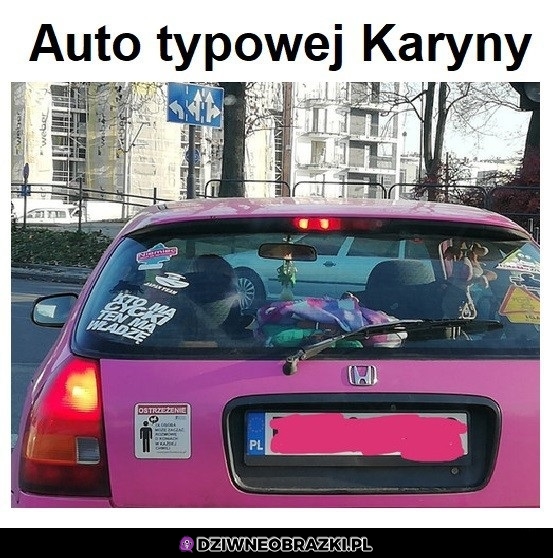 Karynowóz