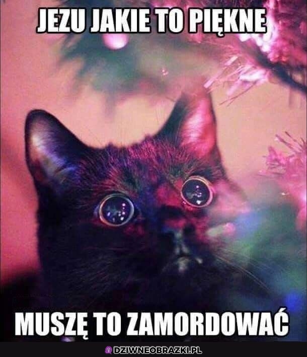 Jakie to piękne