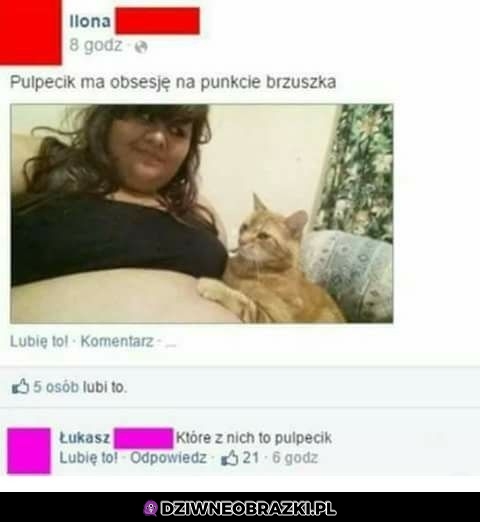 Pulpecik