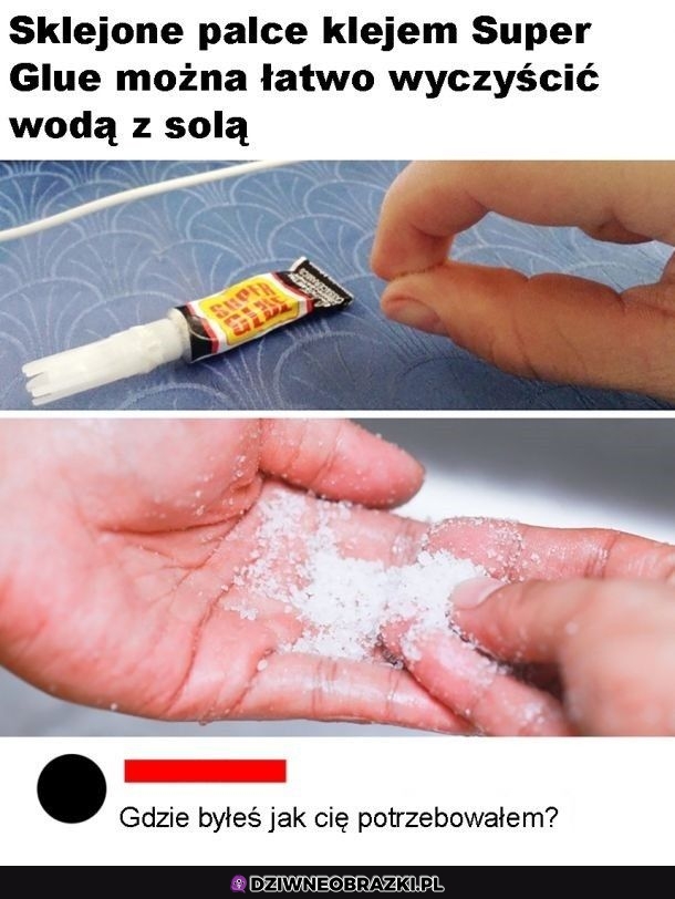 Złota rada