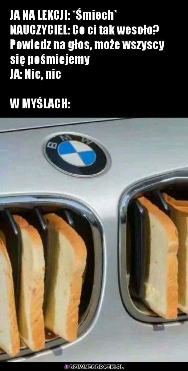Dzięki mózgu