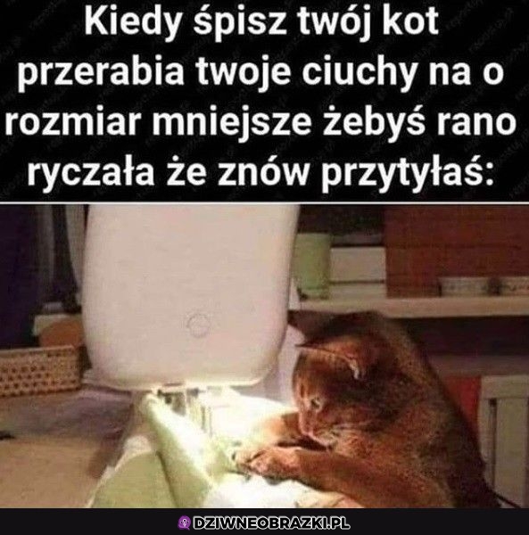 A to podstępna bestia