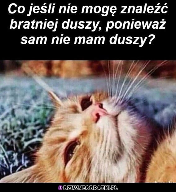 Hm