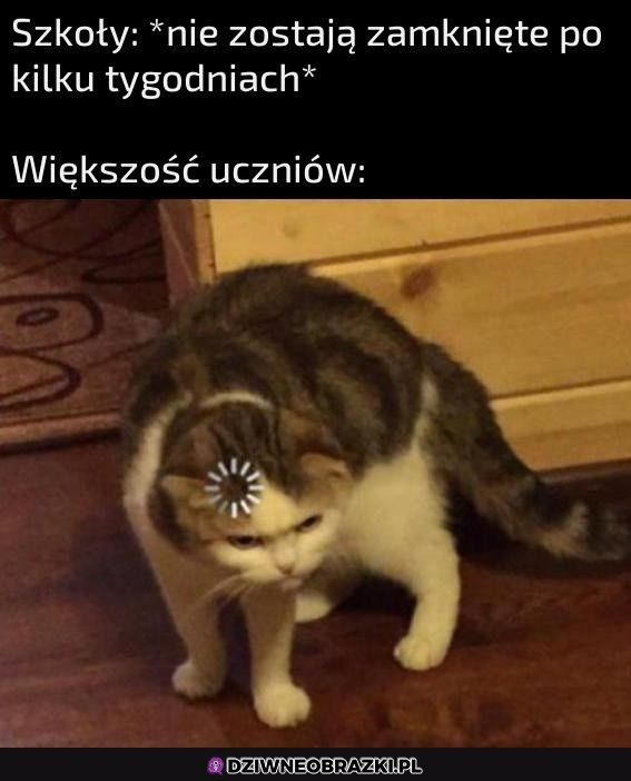 Co tu się dzieje