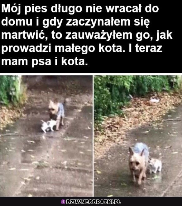 Najlepiej