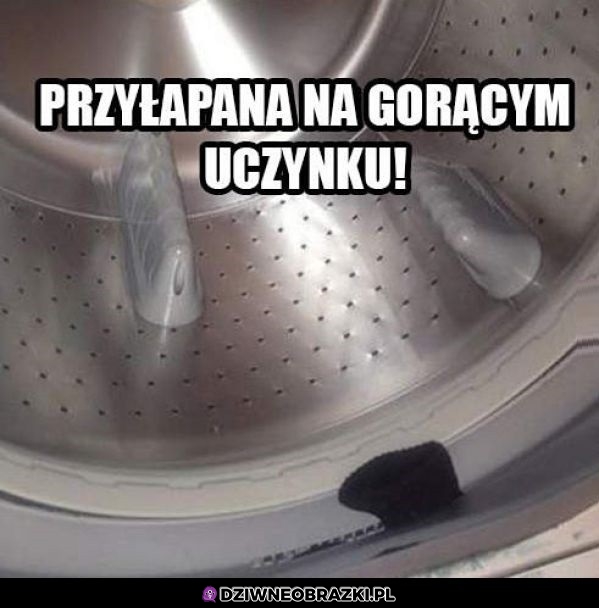 Nie tym razem