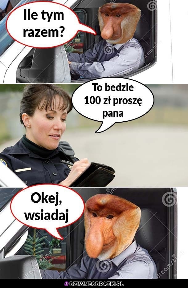 Wsiadaj