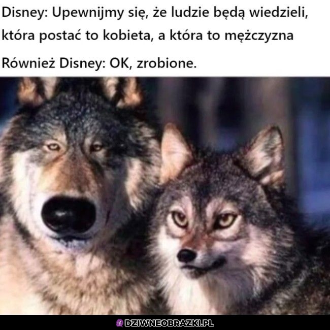 Nie da się pomylić