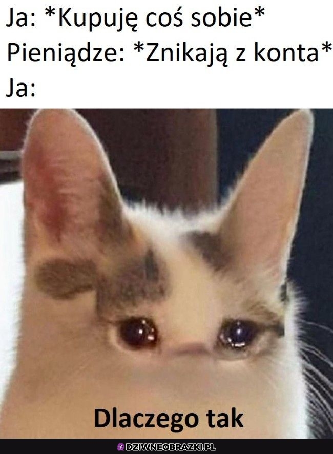 No ale dlaczego?