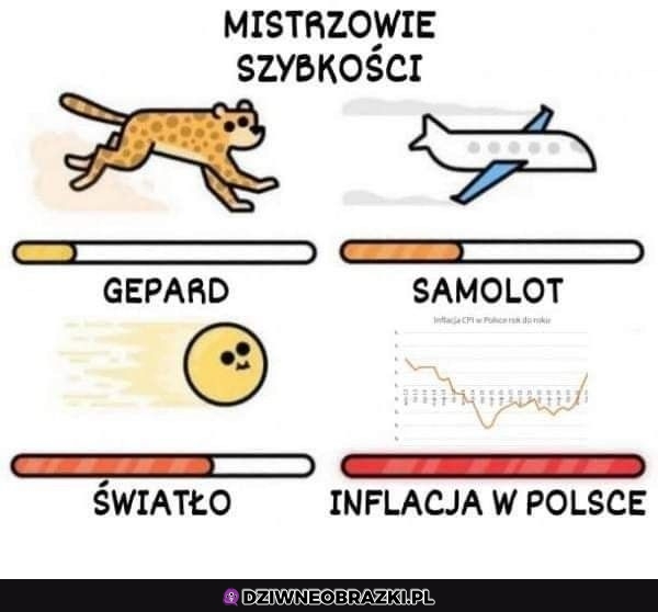 Najszybsze
