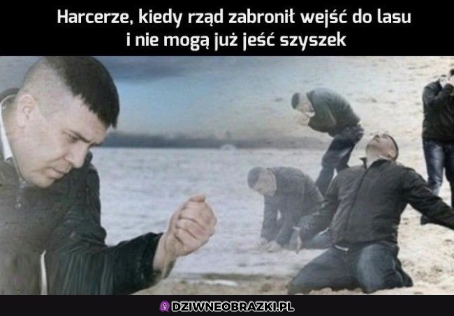 Już niedługo