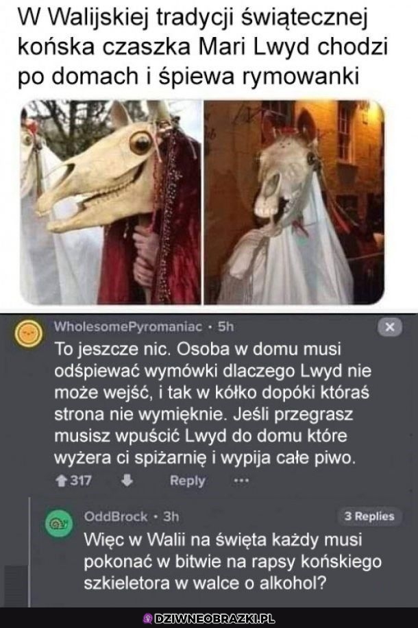 Walijska tradycja