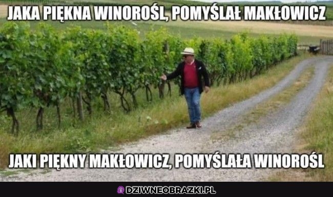 Jakie piękne