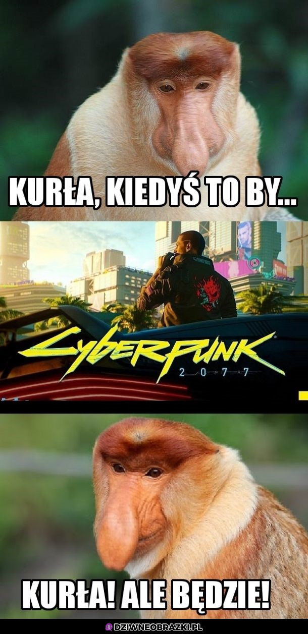 Czekanko