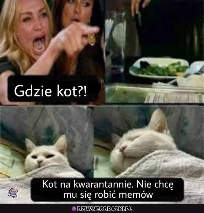 Gdzie kot?!