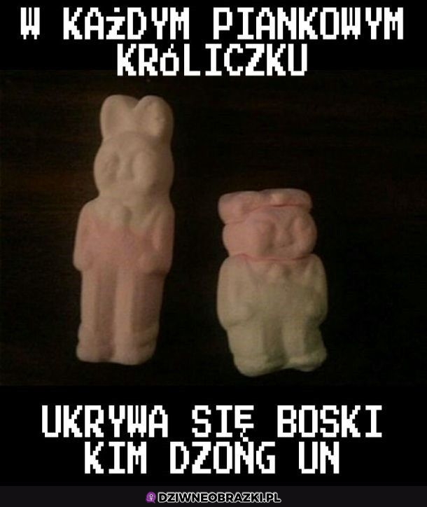 W każdym czai się zło