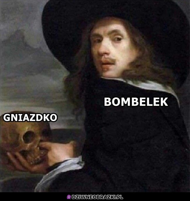 Najciekawsza rzecz w domu