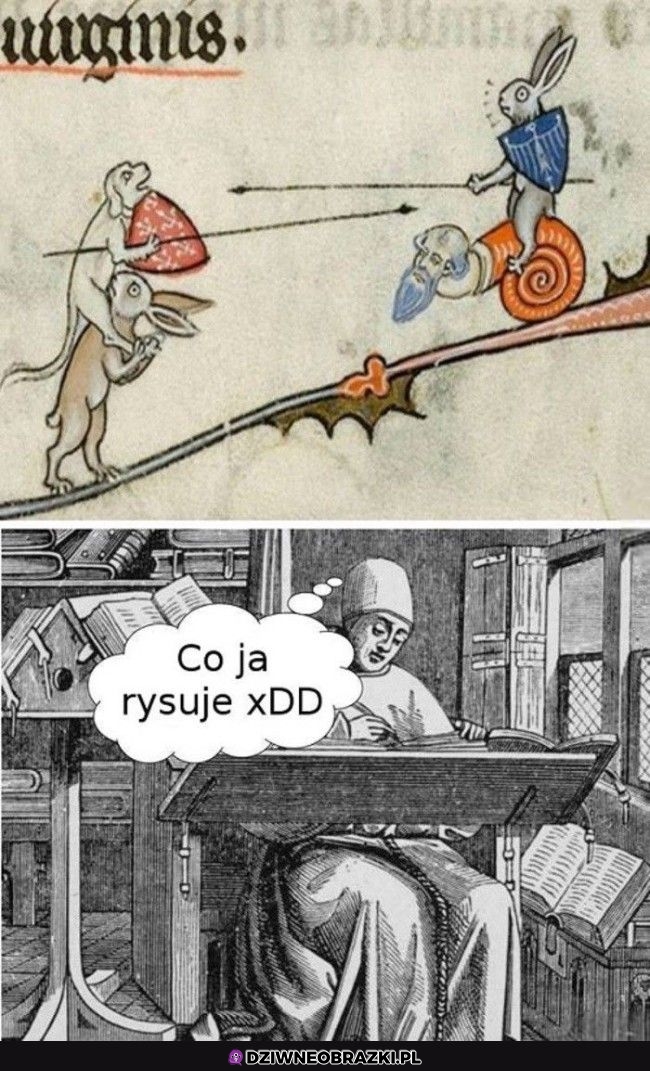 Dobre grzybki weszły