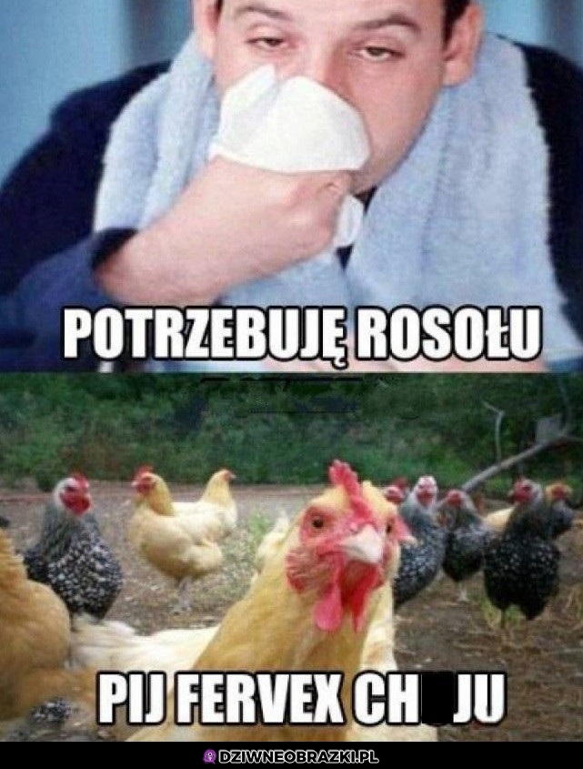 Rosołek