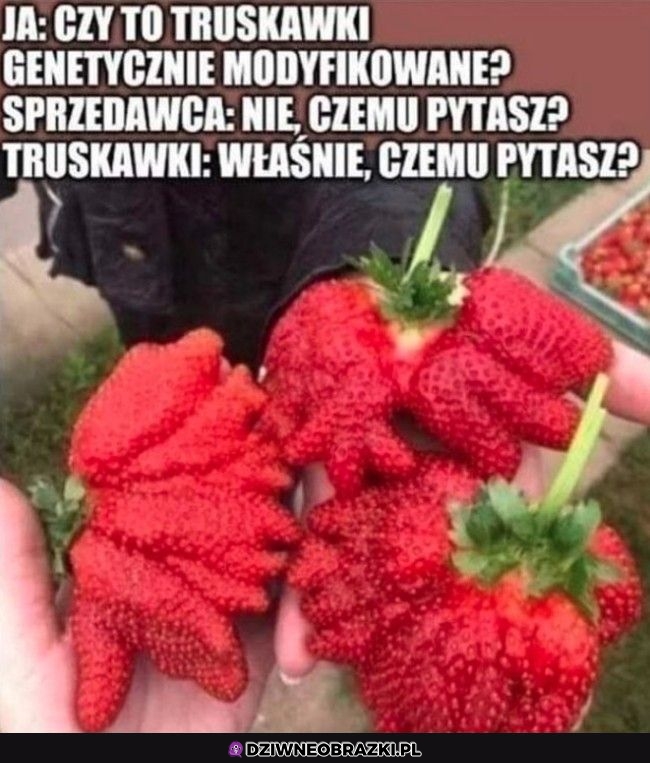 Normalne truskaweczki