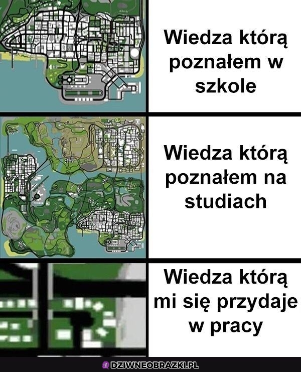 Wiedza używana w pracy