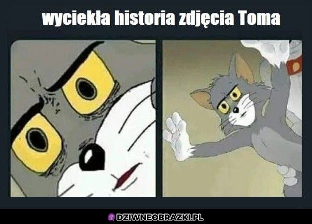Historia zdjęcia Toma
