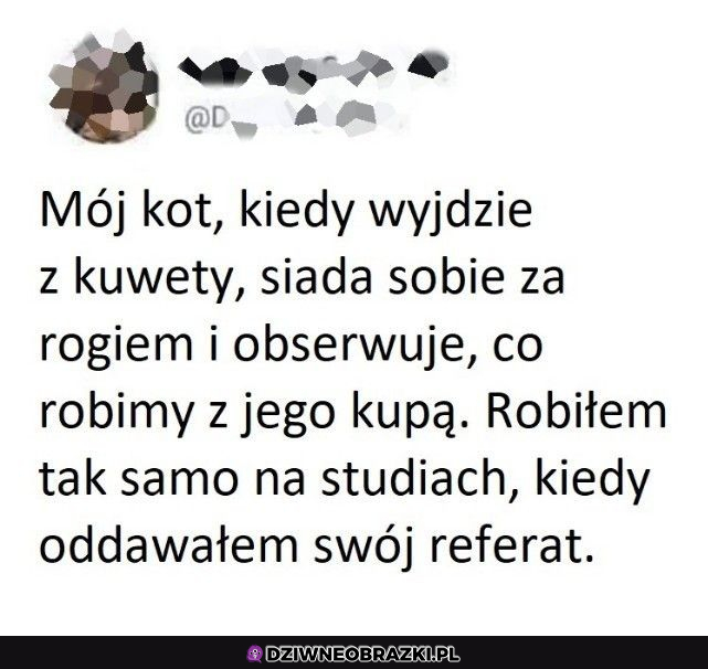 Tak było