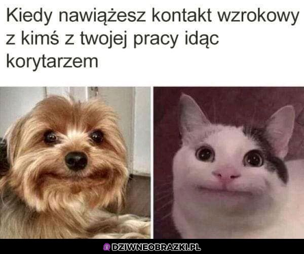 Kiedy mijasz się z pracownikiem