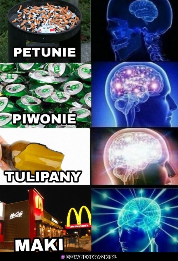 Kwiaty